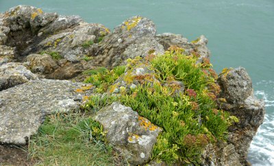 littoral rocheux