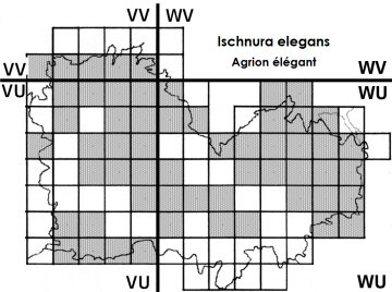 carte de l'agrion élégant (données VivArmor) carte de l'agrion élégant (données VivArmor)